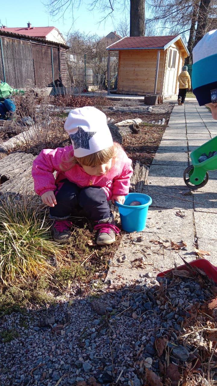 Práce na zahradě - 15