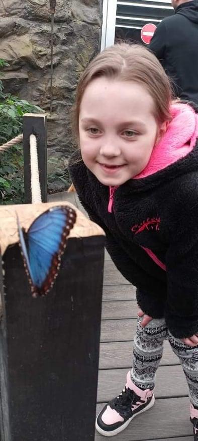 TLAPKY - 2 - motýlci a HAMELYS - 4