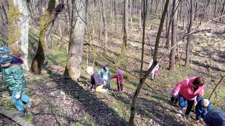 Vycházka po okolí - 4