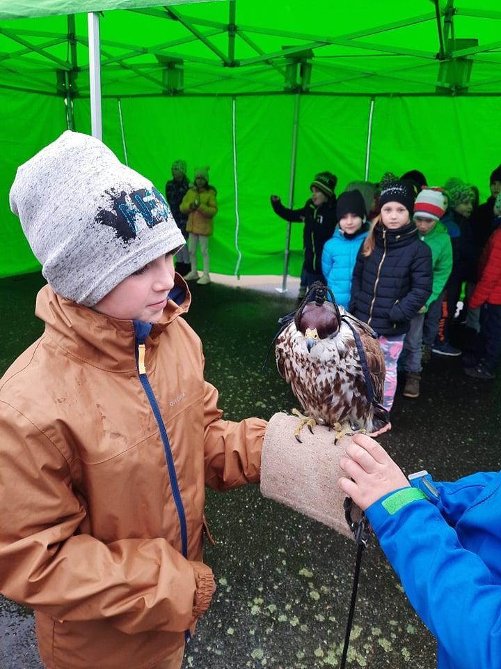 Ukázka dravců na 1. stupni - 30