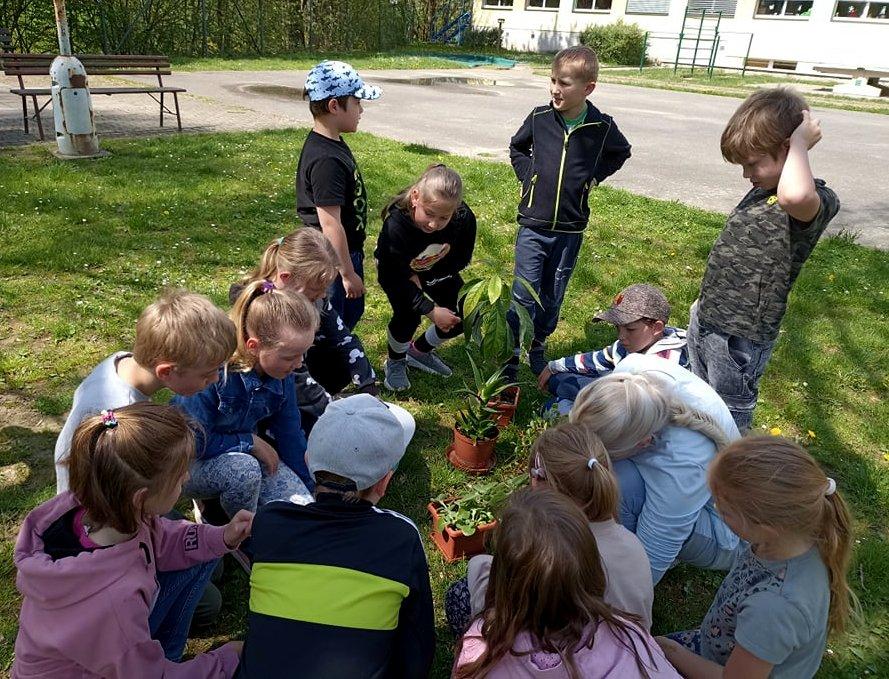 9. 5. Učení venku, 2. třída - 3
