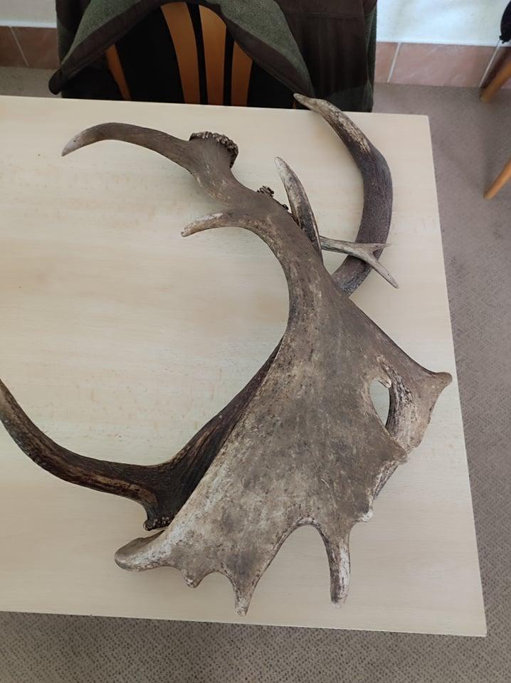 Přednáška p. Kubasy a návštěva hřiště - 20