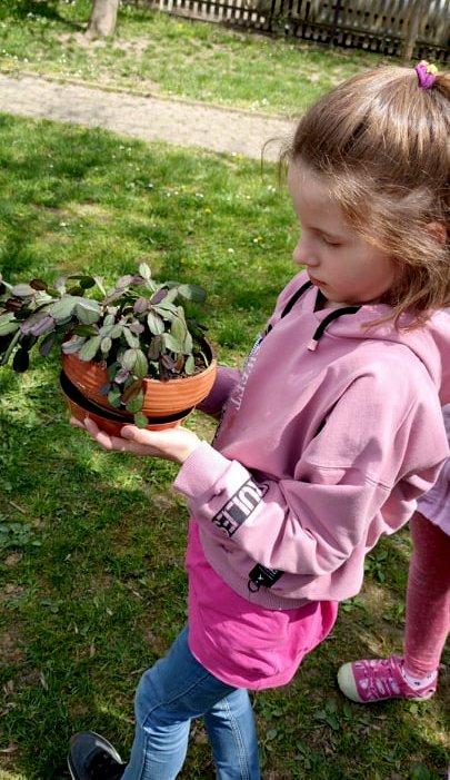 9. 5. Učení venku, 2. třída - 8