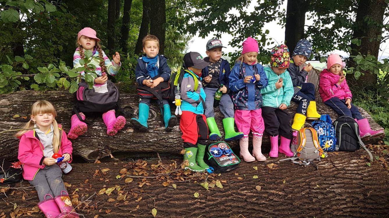 SOVIČKY: ,,VÝPRAVA DO LESA" - 21