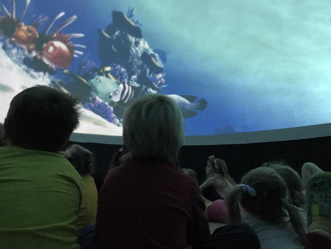 projektový den v MŠ - "Podmořský svět" I. - 22