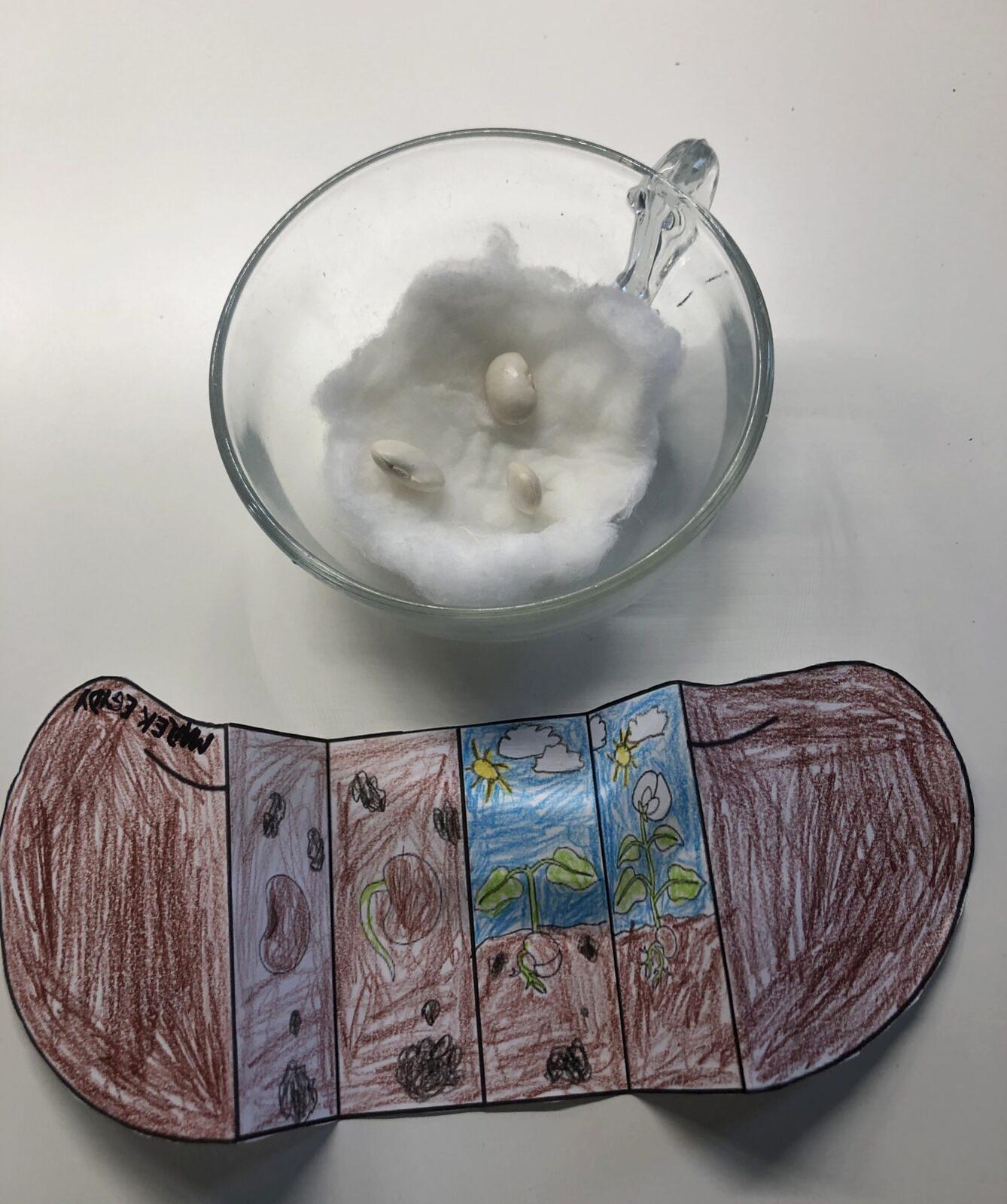 28. 3. Distanční výuka u prvňáčků - 9