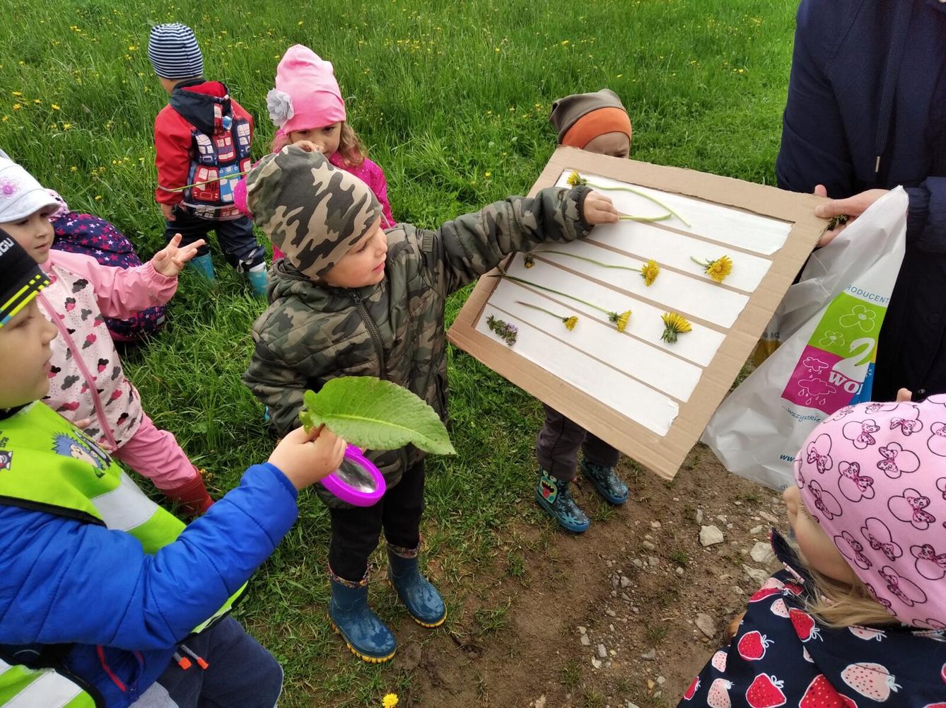 broučci-jarní louka - 22