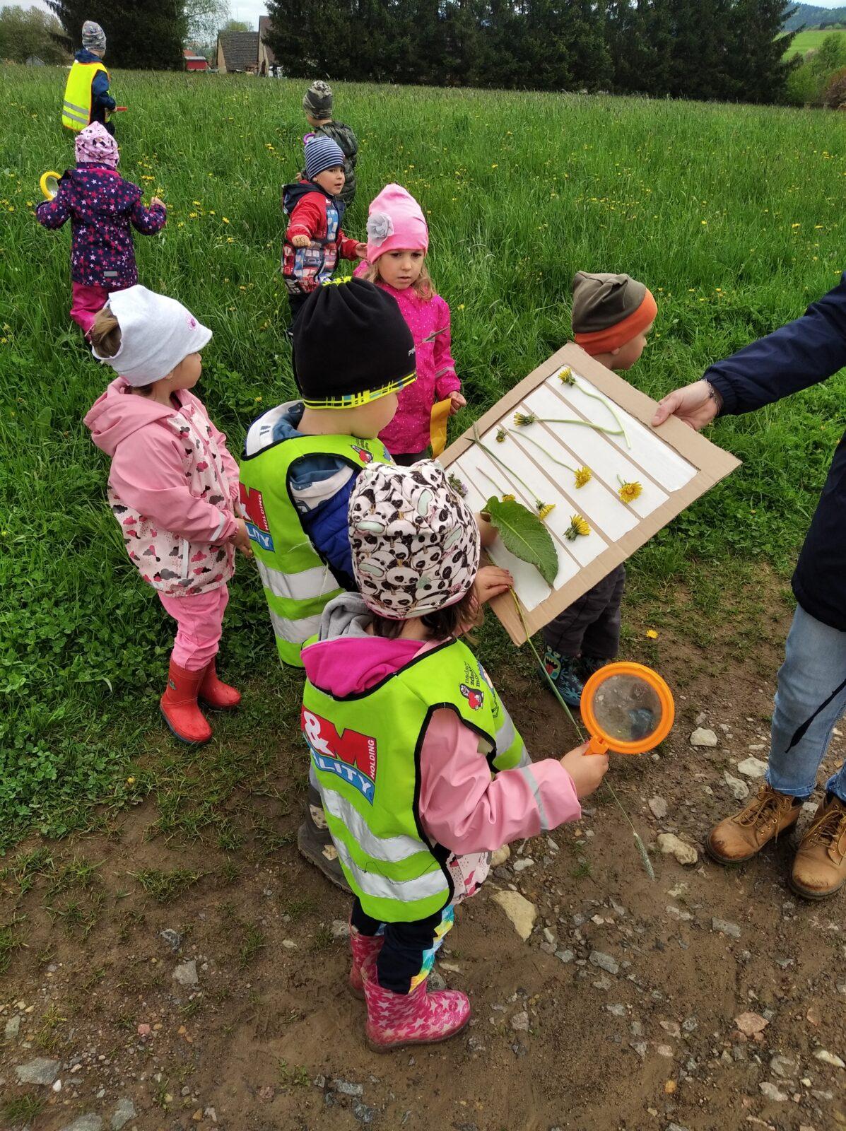 broučci-jarní louka - 23