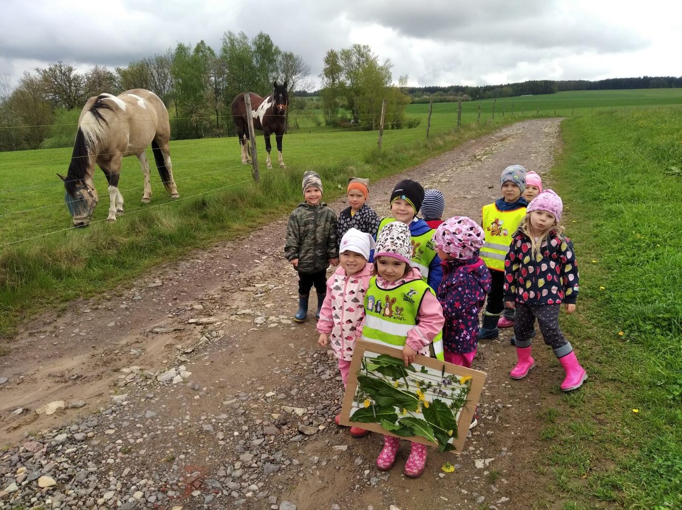 broučci-jarní louka - 24