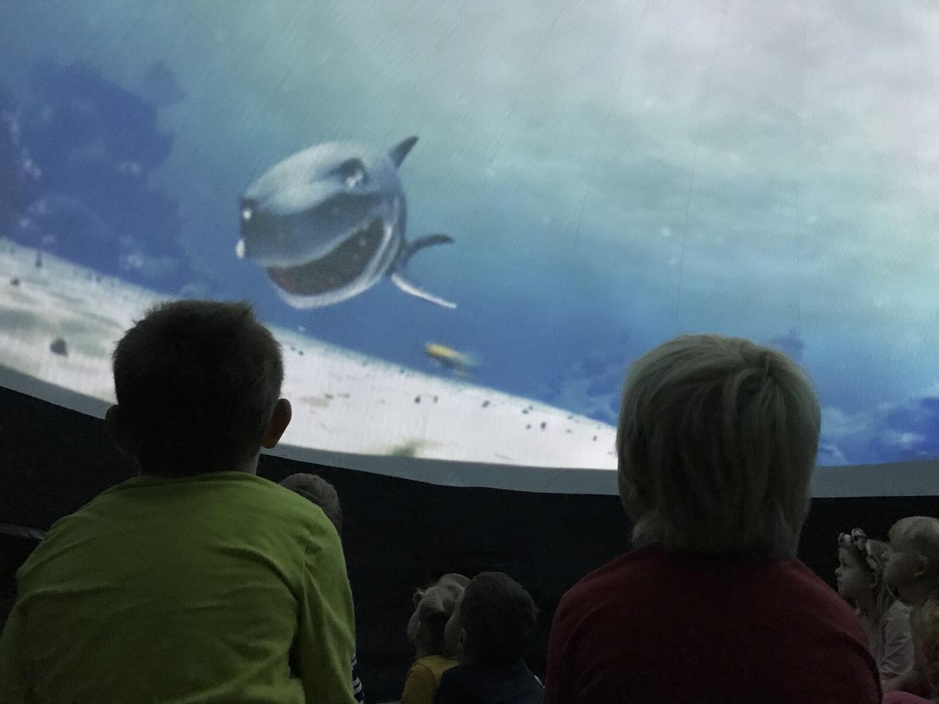 projektový den v MŠ - "Podmořský svět" I. - 26