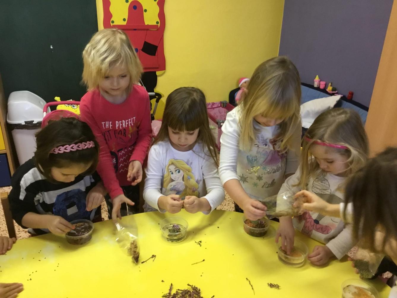 Klokánci: "ledová kuchyně" - 3