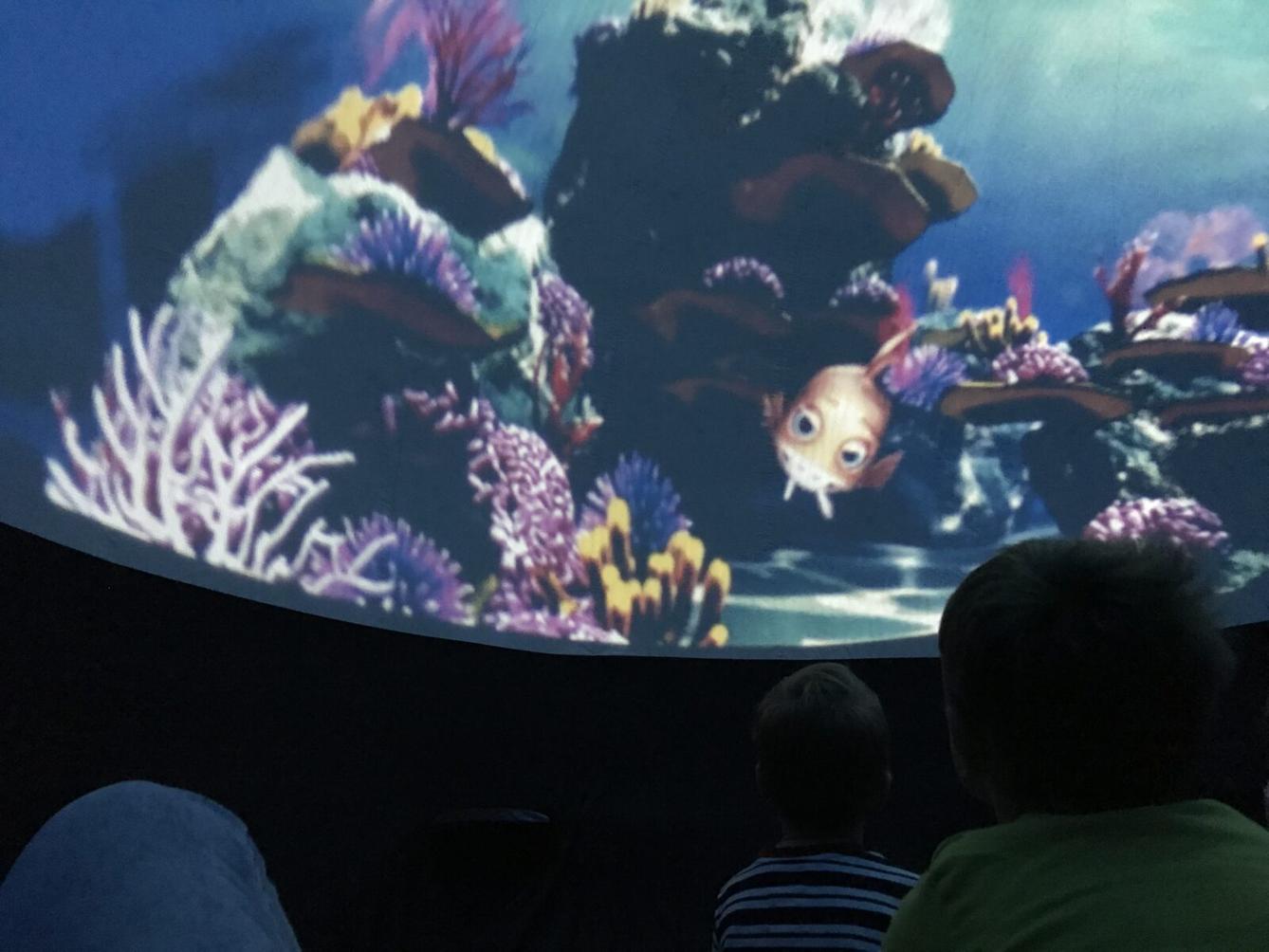 projektový den v MŠ - "Podmořský svět" I. - 27