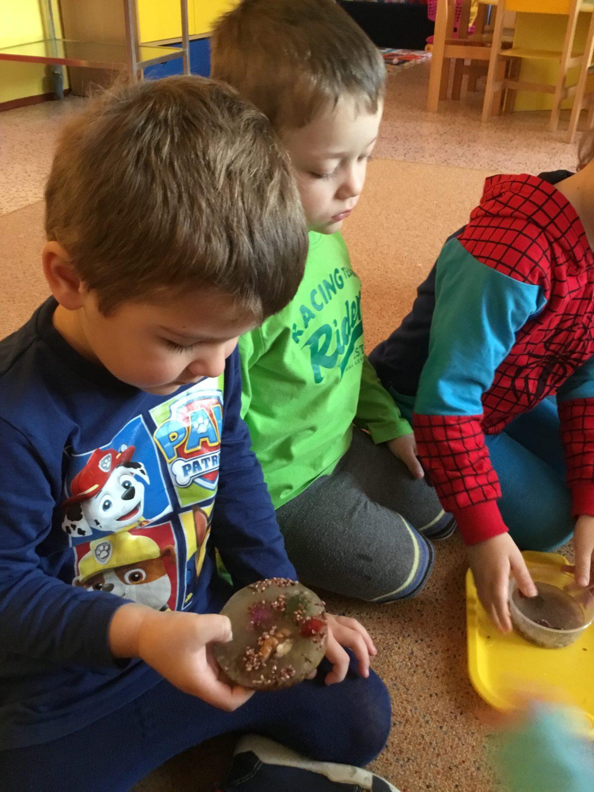 Klokánci: "ledová kuchyně" - 4