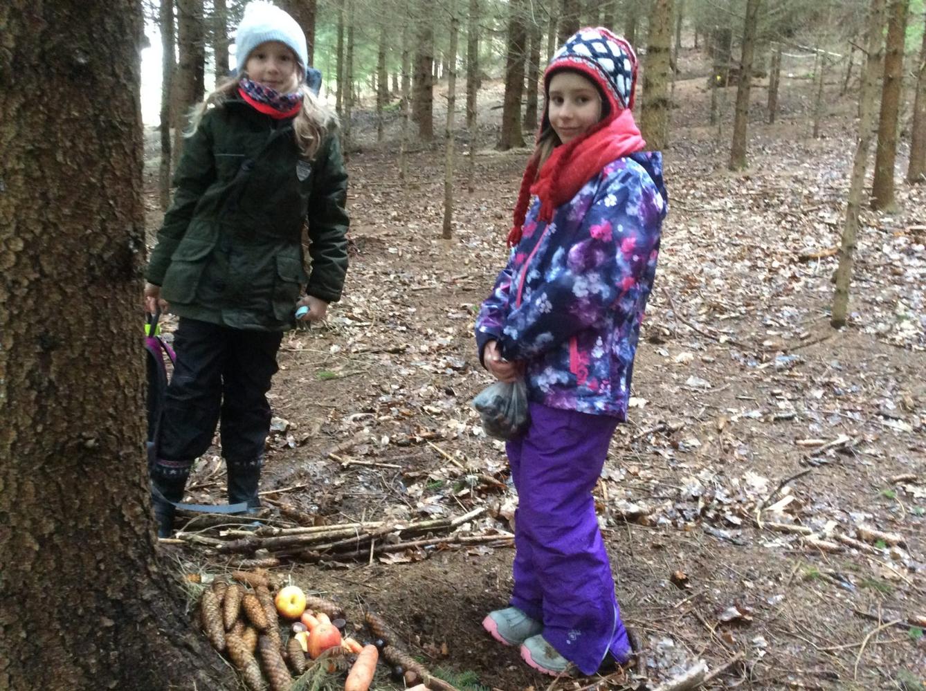 Vycházka k lesu - 3