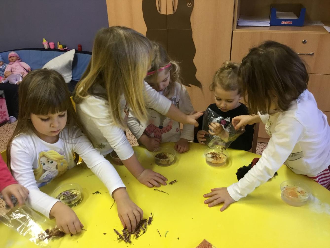 Klokánci: "ledová kuchyně" - 5