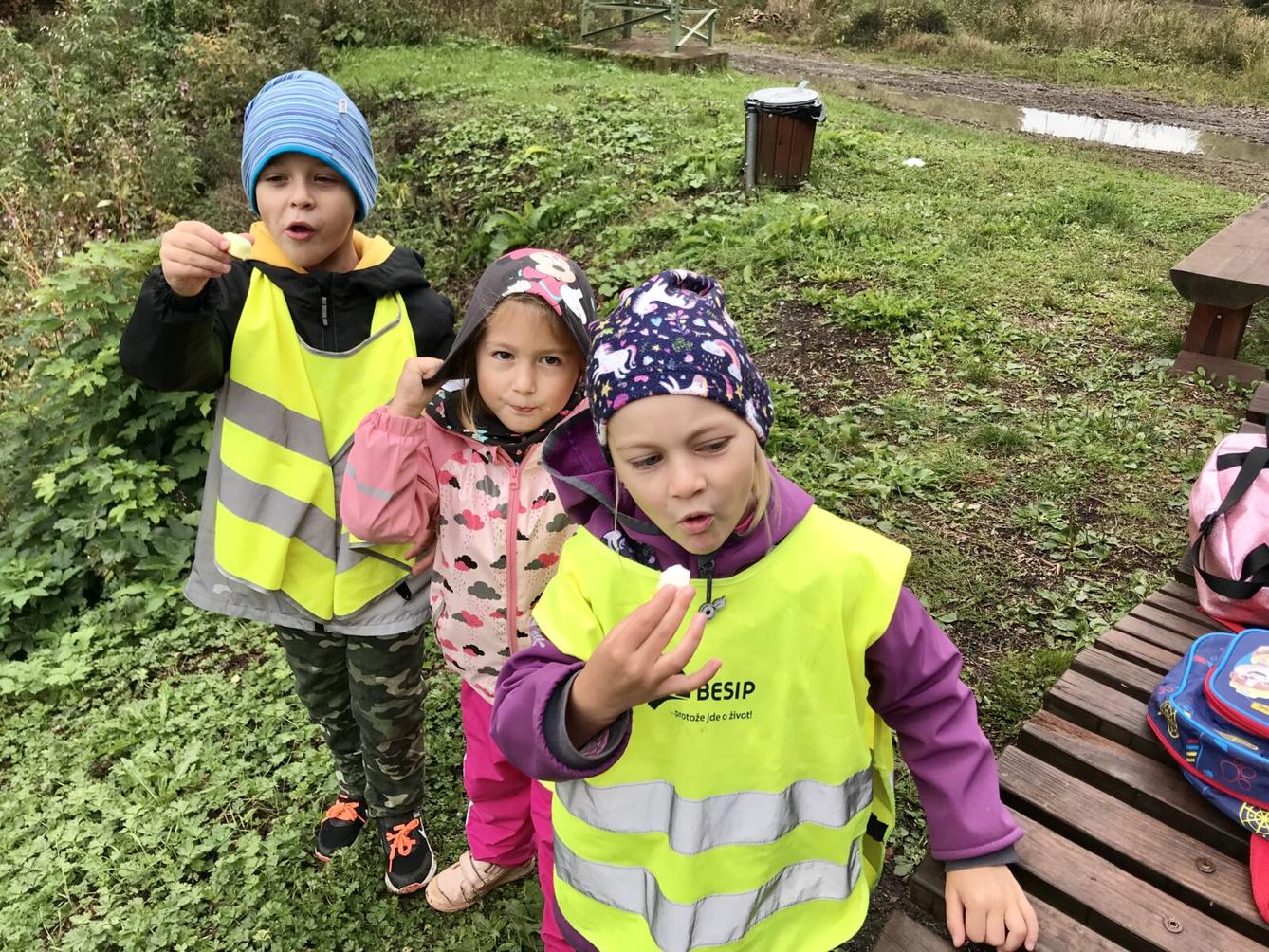 SOVIČKY: ,,NAUČNÁ STEZKA LIBCHAVY" - 4