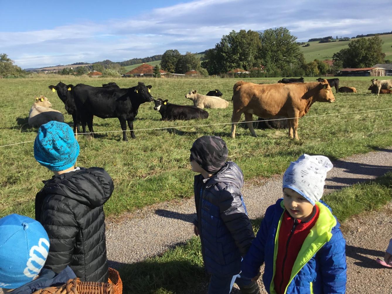 "Kam chodí broučci spát" - 33