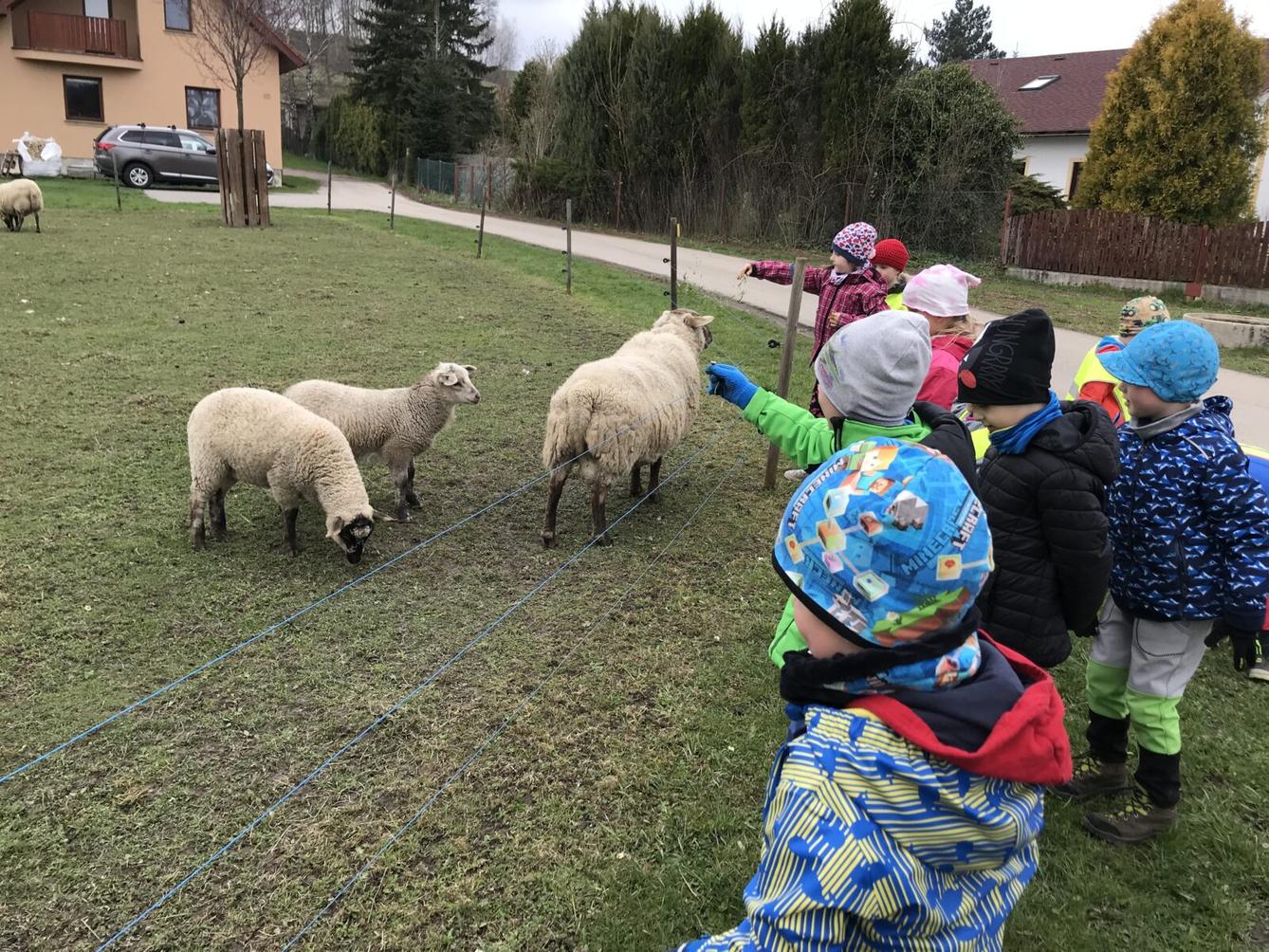 PŘEDŠKOLÁCI ,,VÝPRAVY ZA ZVÍŘÁTKY" - 13