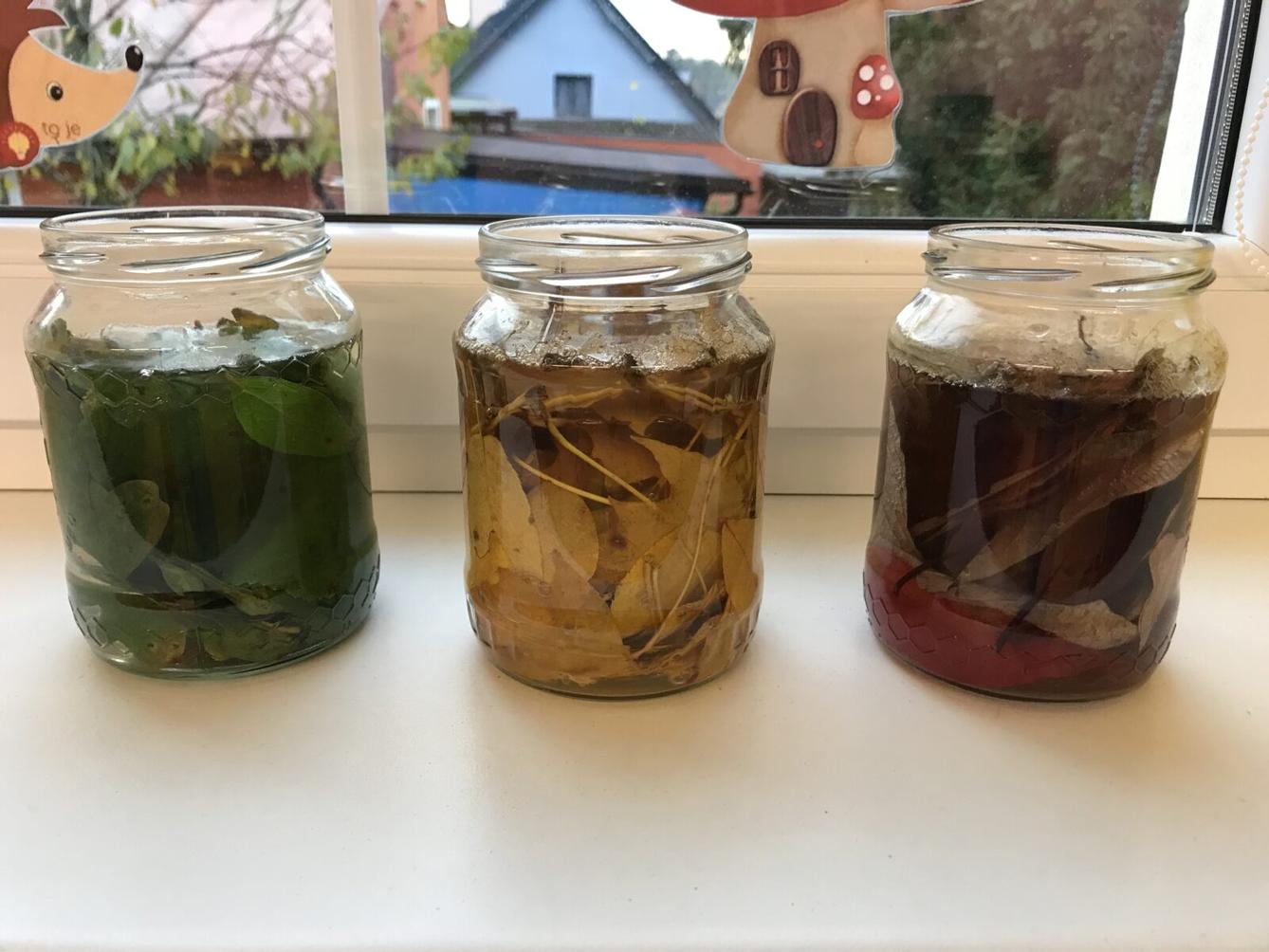 SOVIČKY: ,,čas jablíčkové vůně" - 11