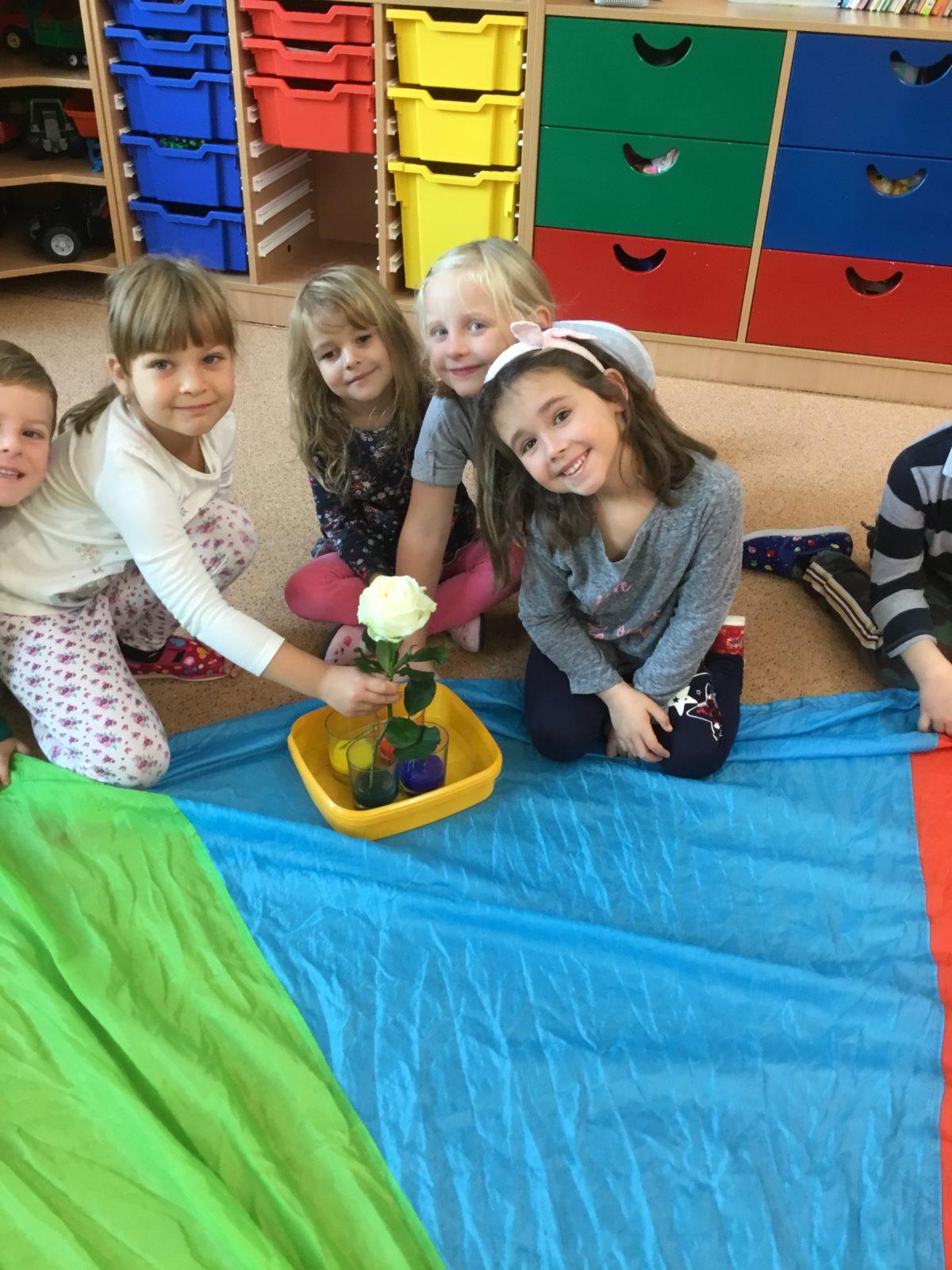 Klokánci: Barevný svět kolem nás - 5