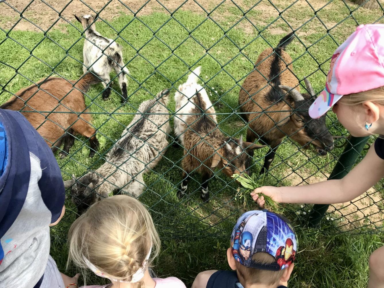 SOVIČKY: ,,MÁME RÁDI ZVÍŘATA" - 38