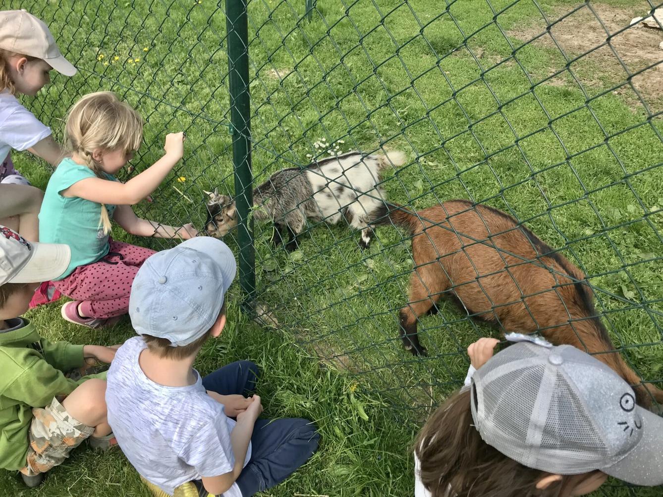 SOVIČKY: ,,MÁME RÁDI ZVÍŘATA" - 40