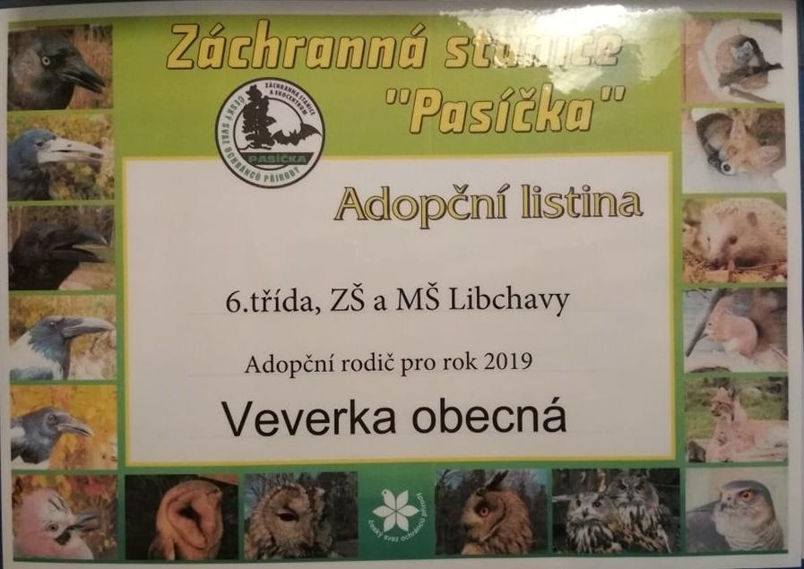 Sbírka na adopci zvířátka - 2
