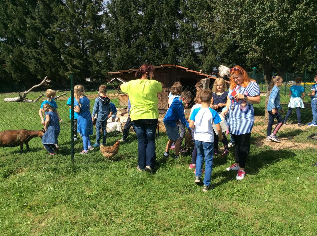 Družinka v zahradnictví - 6