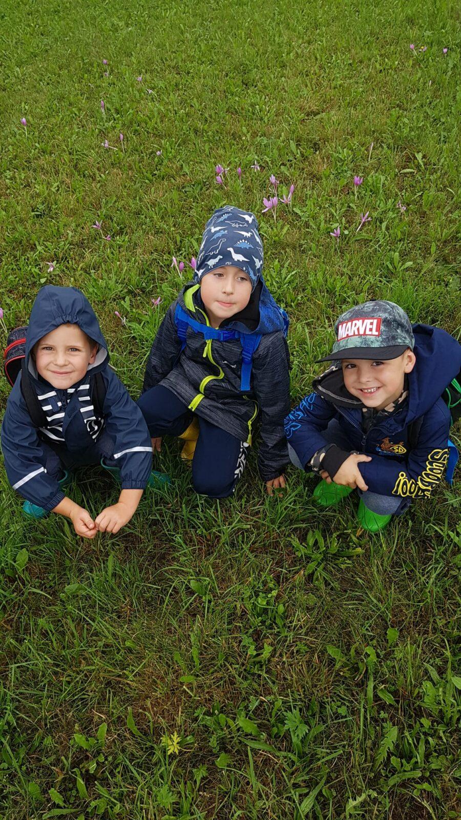 SOVIČKY: ,,VÝPRAVA DO LESA" - 24