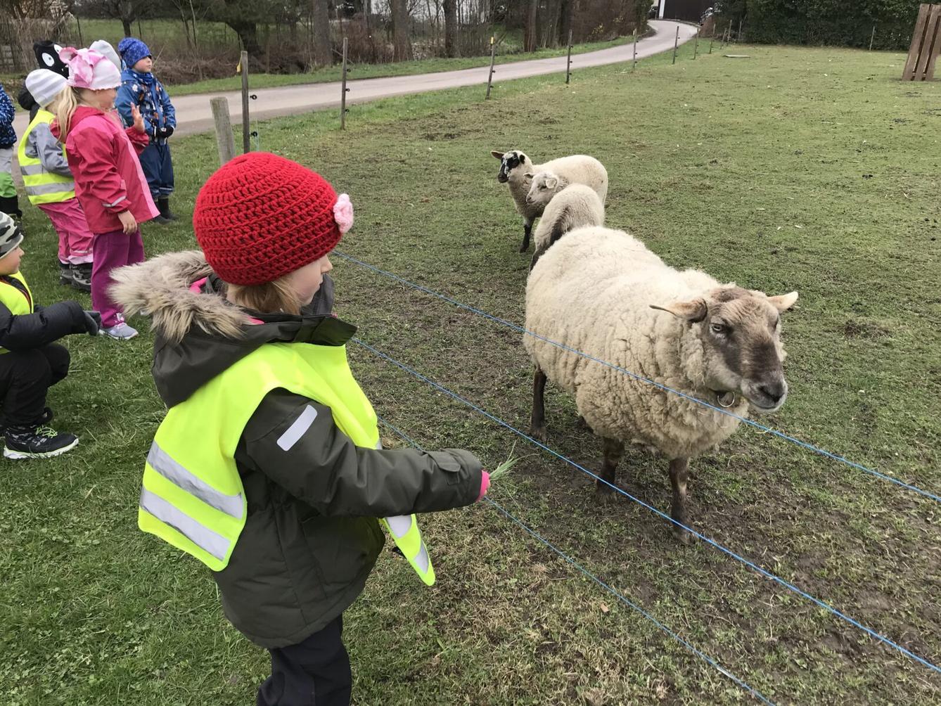 PŘEDŠKOLÁCI ,,VÝPRAVY ZA ZVÍŘÁTKY" - 14