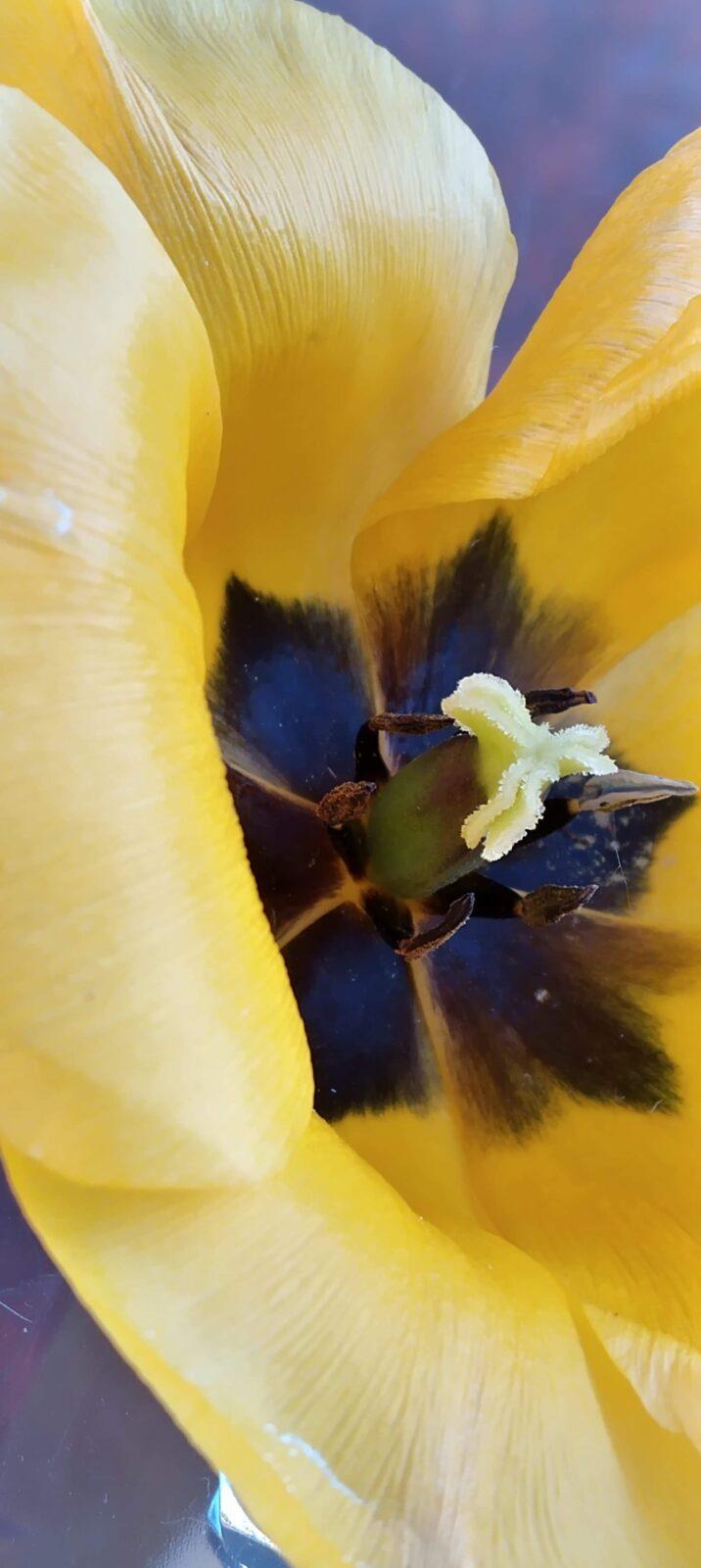 Domácí mikroskop - badatelský kroužek - 8