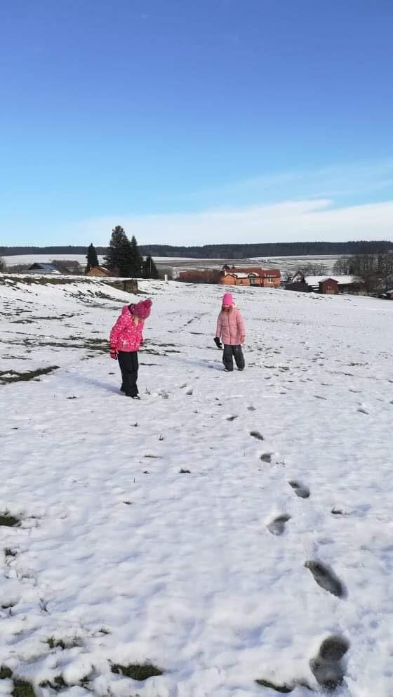Po stopách zvířátek...družinka - 2