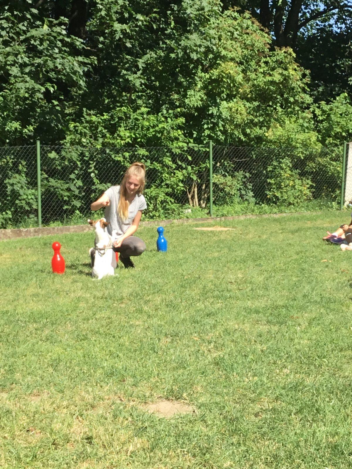 Vzpomínka na prázdniny - cvičení s pejskem - 7