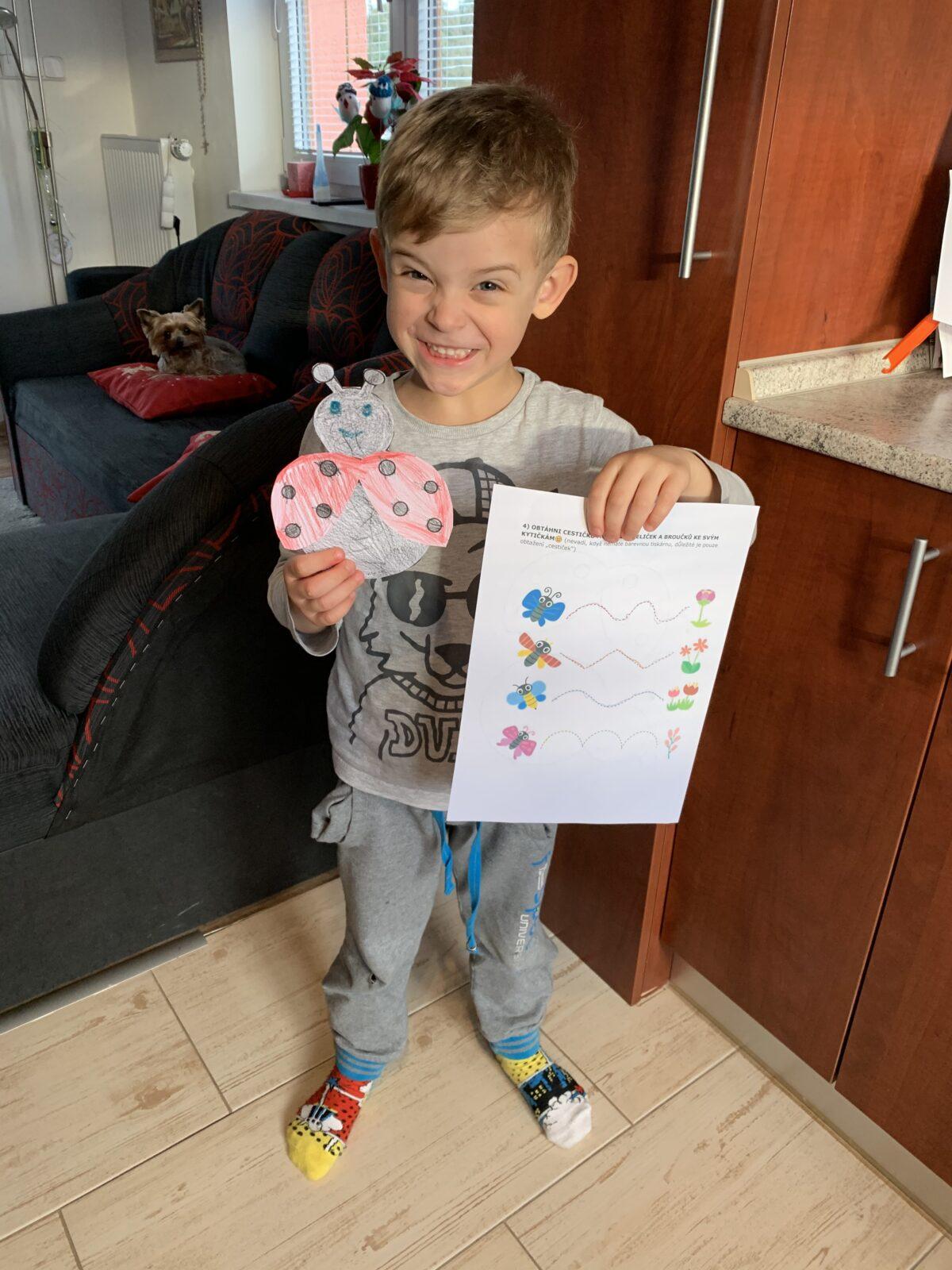 Distanční výuka - "Jarní louka, pole" (mladší děti) :-) - 3