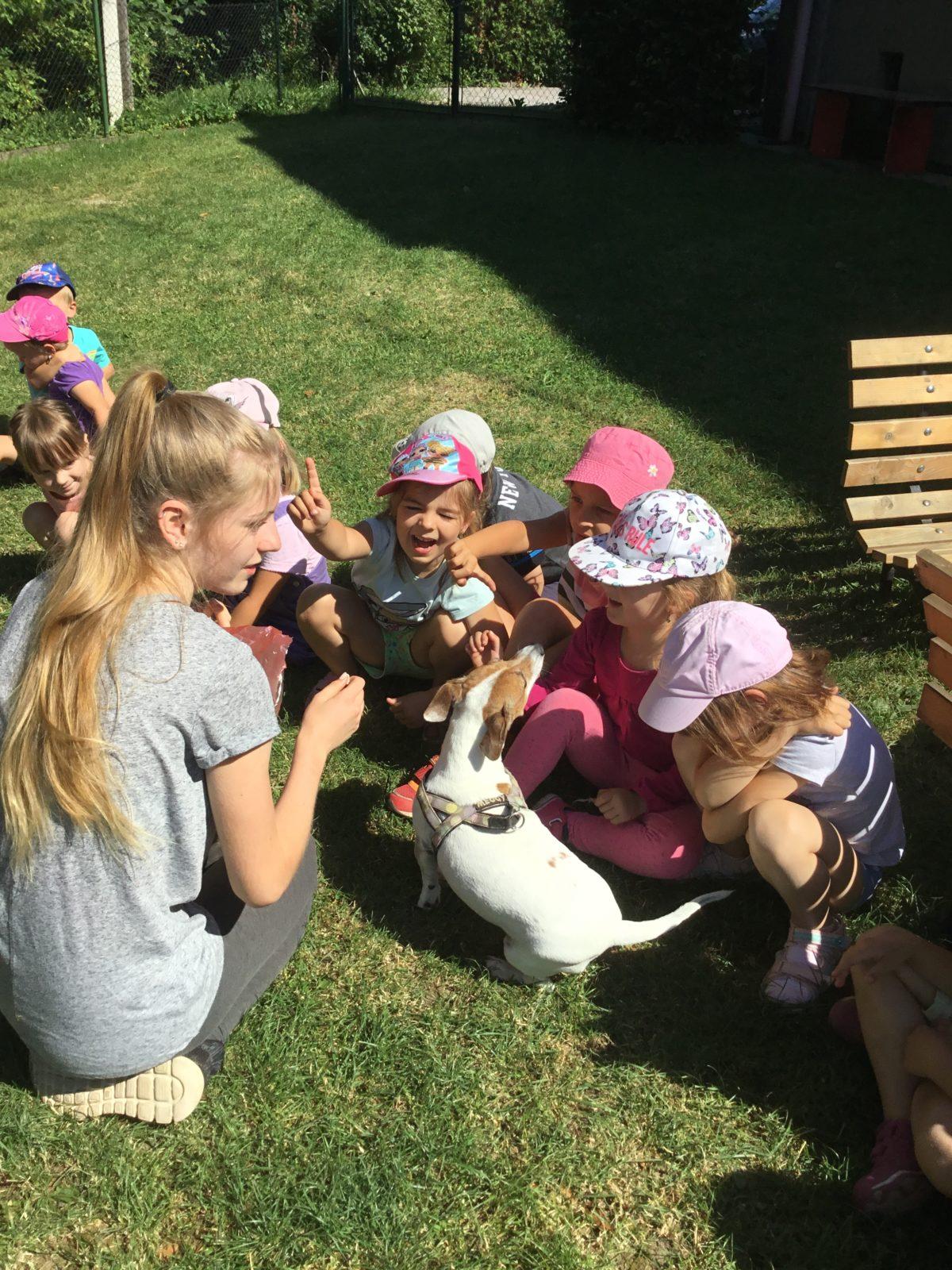 Vzpomínka na prázdniny - cvičení s pejskem - 8