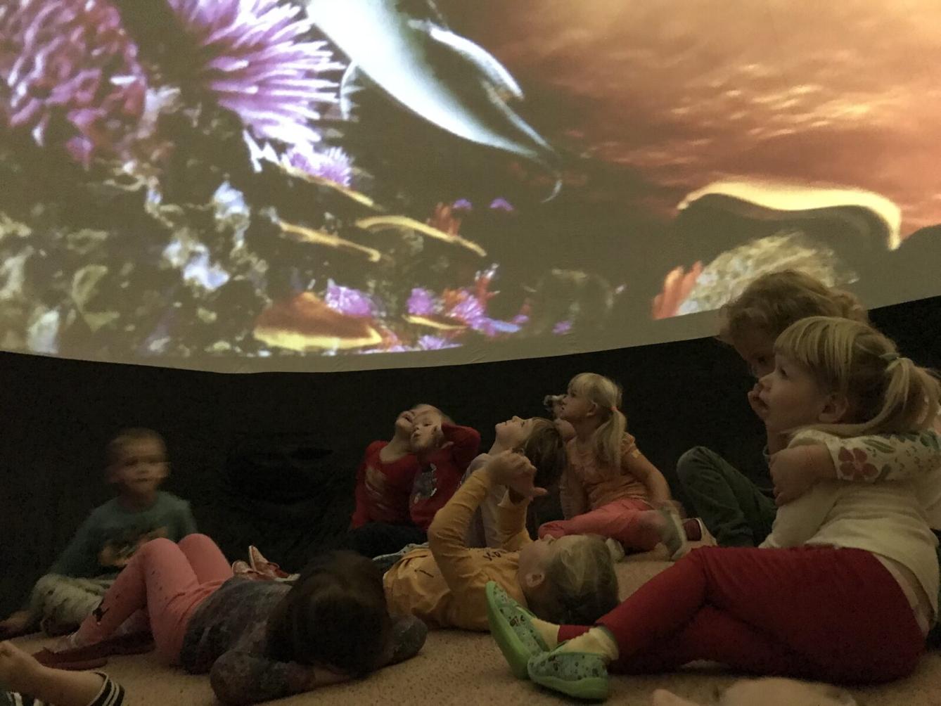 projektový den v MŠ - "Podmořský svět" I. - 30