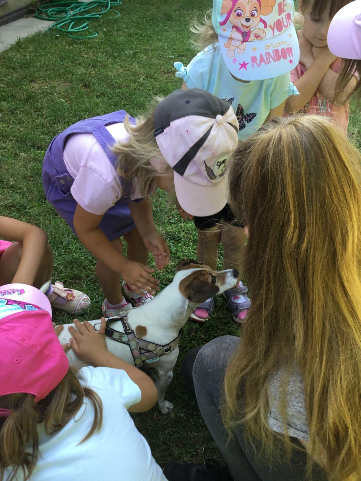 Vzpomínka na prázdniny - cvičení s pejskem - 9