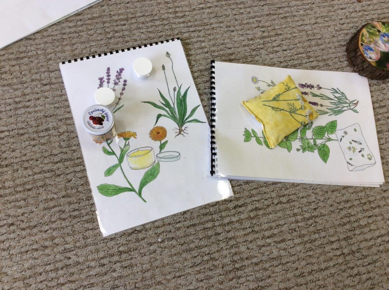 Čarovné bylinky ve družince - 7