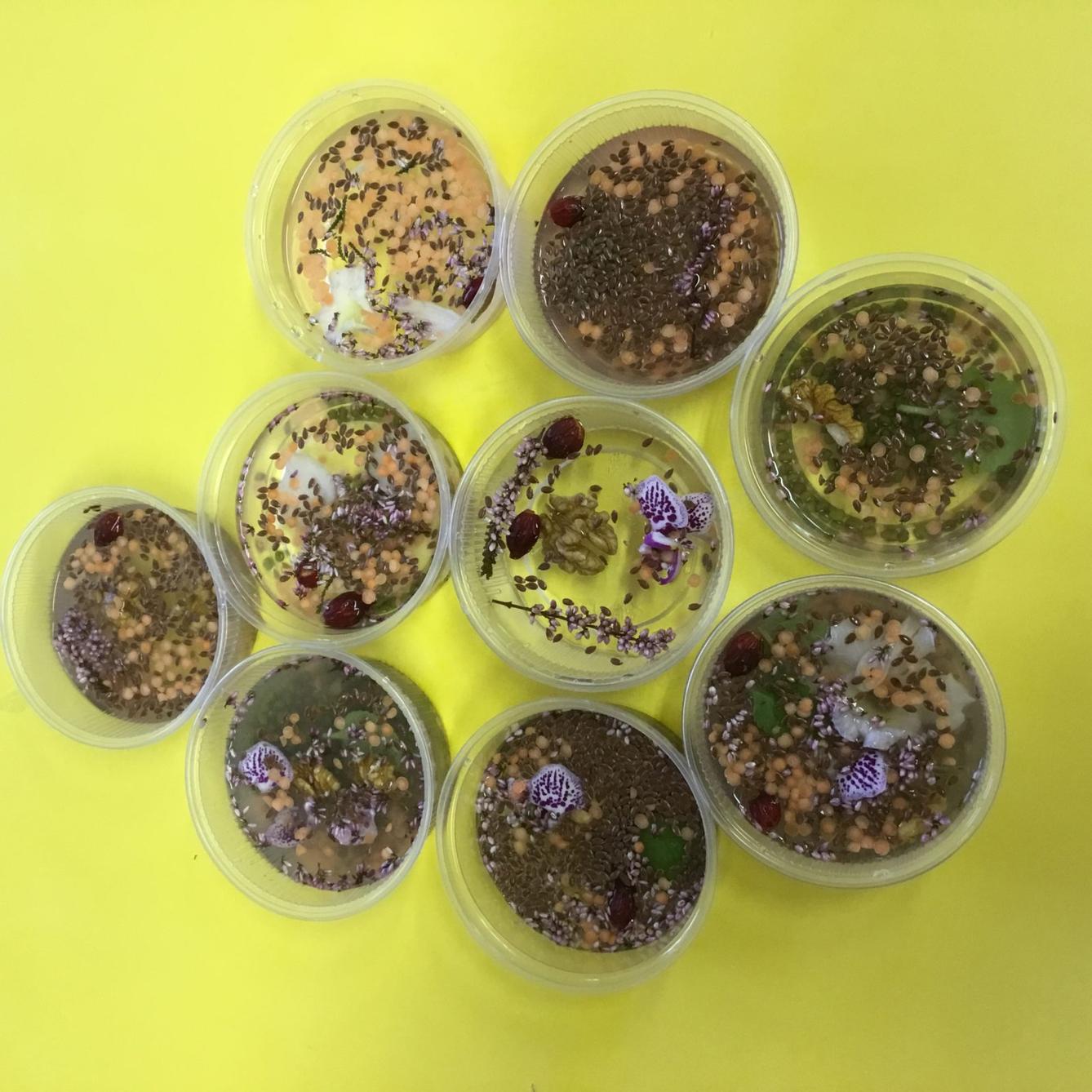 Klokánci: "ledová kuchyně" - 7