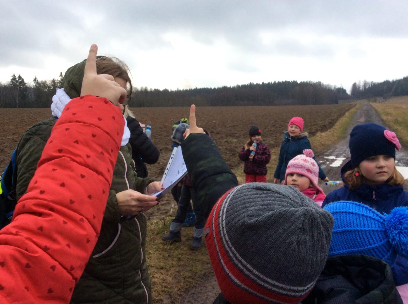 Vycházka k lesu - 5