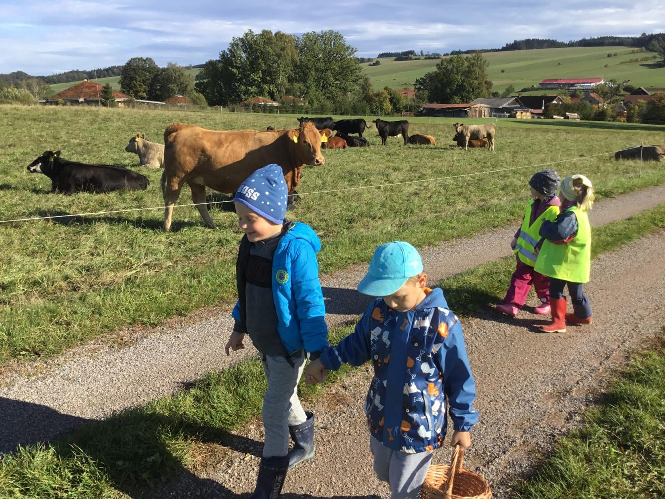 "Kam chodí broučci spát" - 45