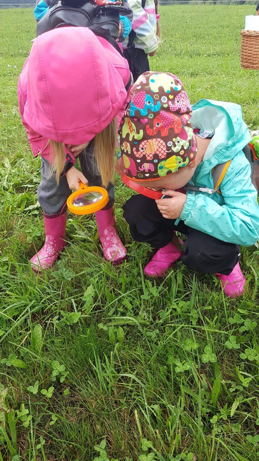 SOVIČKY: ,,VÝPRAVA DO LESA" - 25