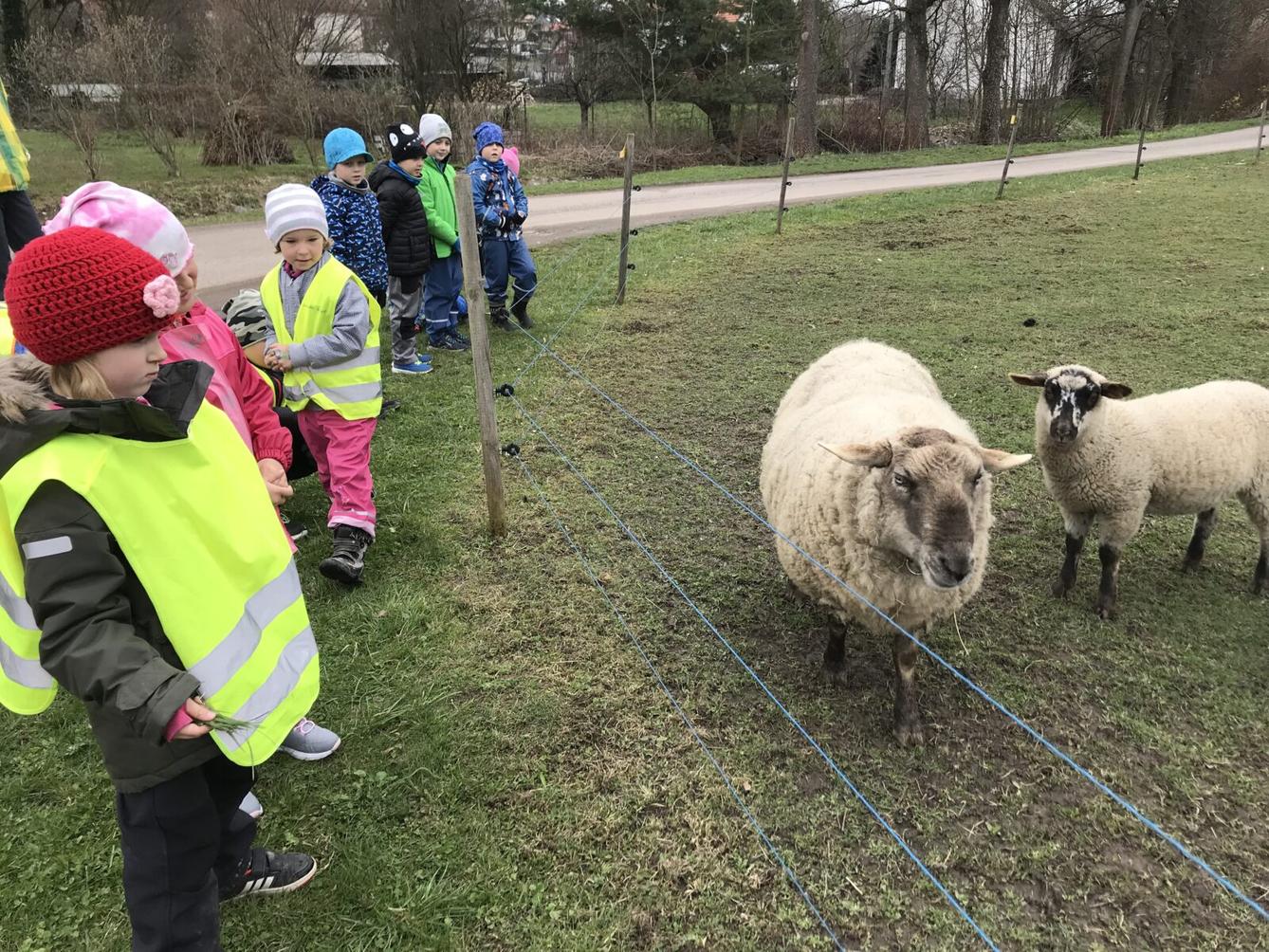 PŘEDŠKOLÁCI ,,VÝPRAVY ZA ZVÍŘÁTKY" - 15