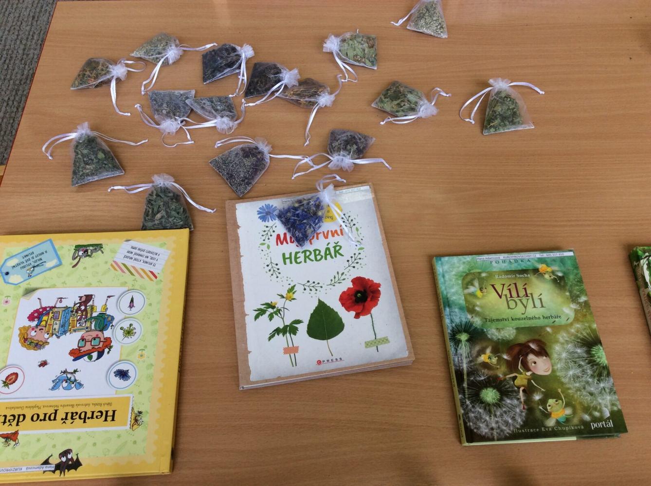 Čarovné bylinky ve družince - 9