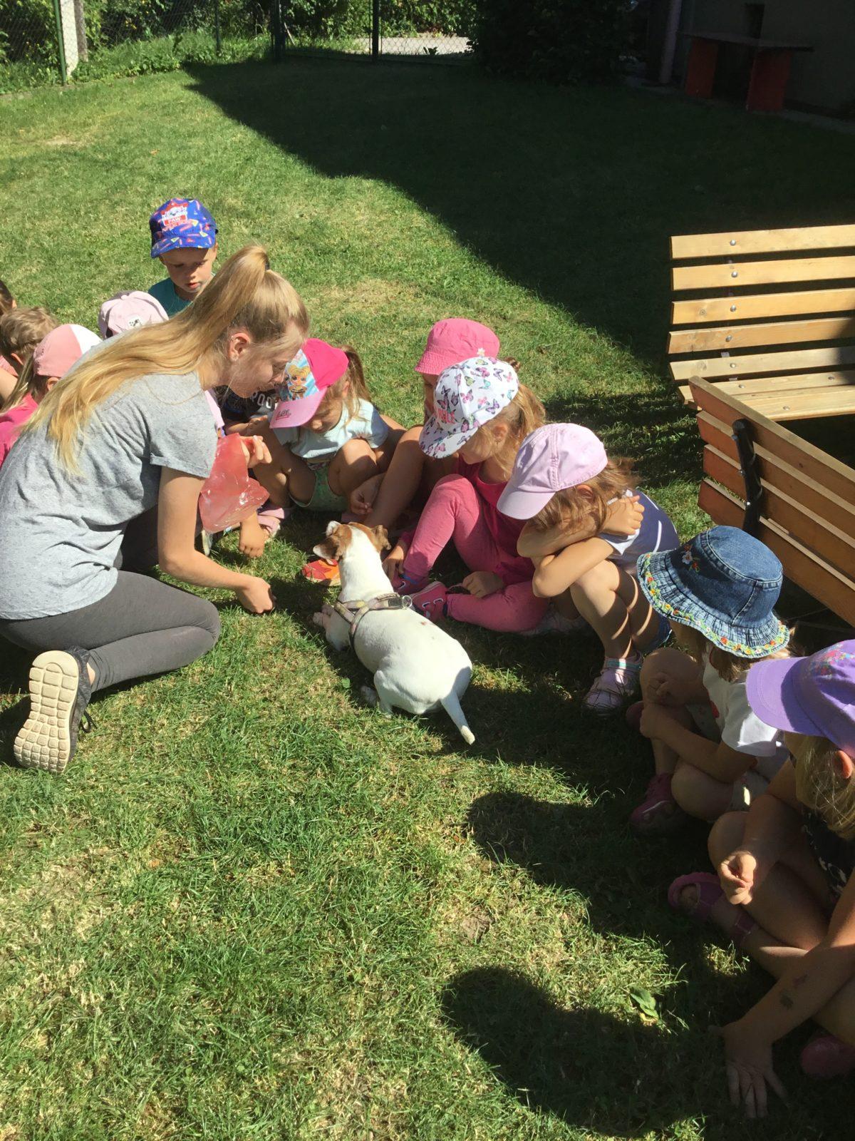 Vzpomínka na prázdniny - cvičení s pejskem - 10