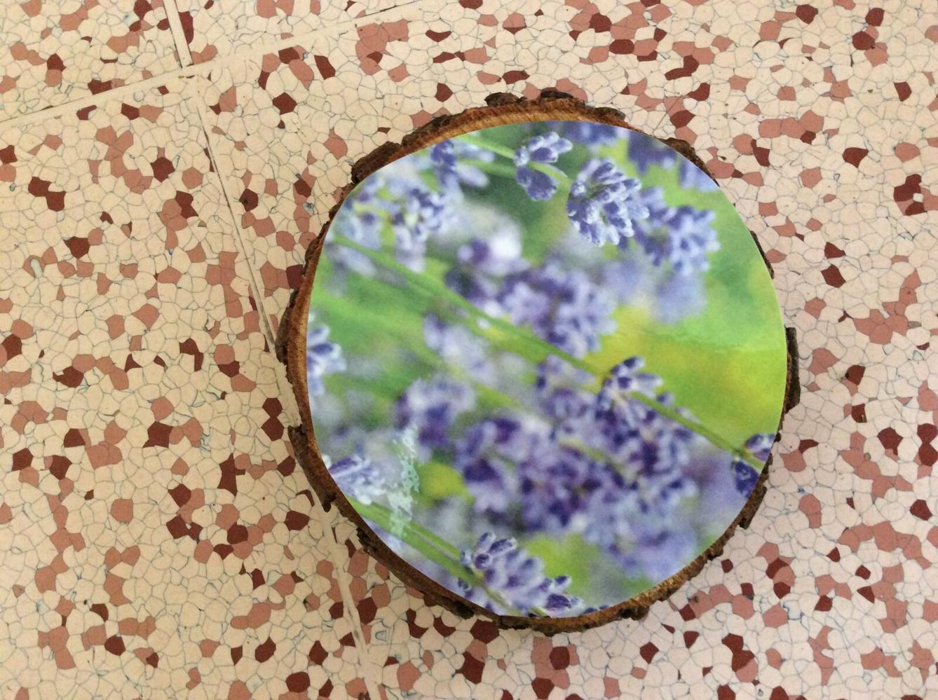 Čarovné bylinky ve družince - 10