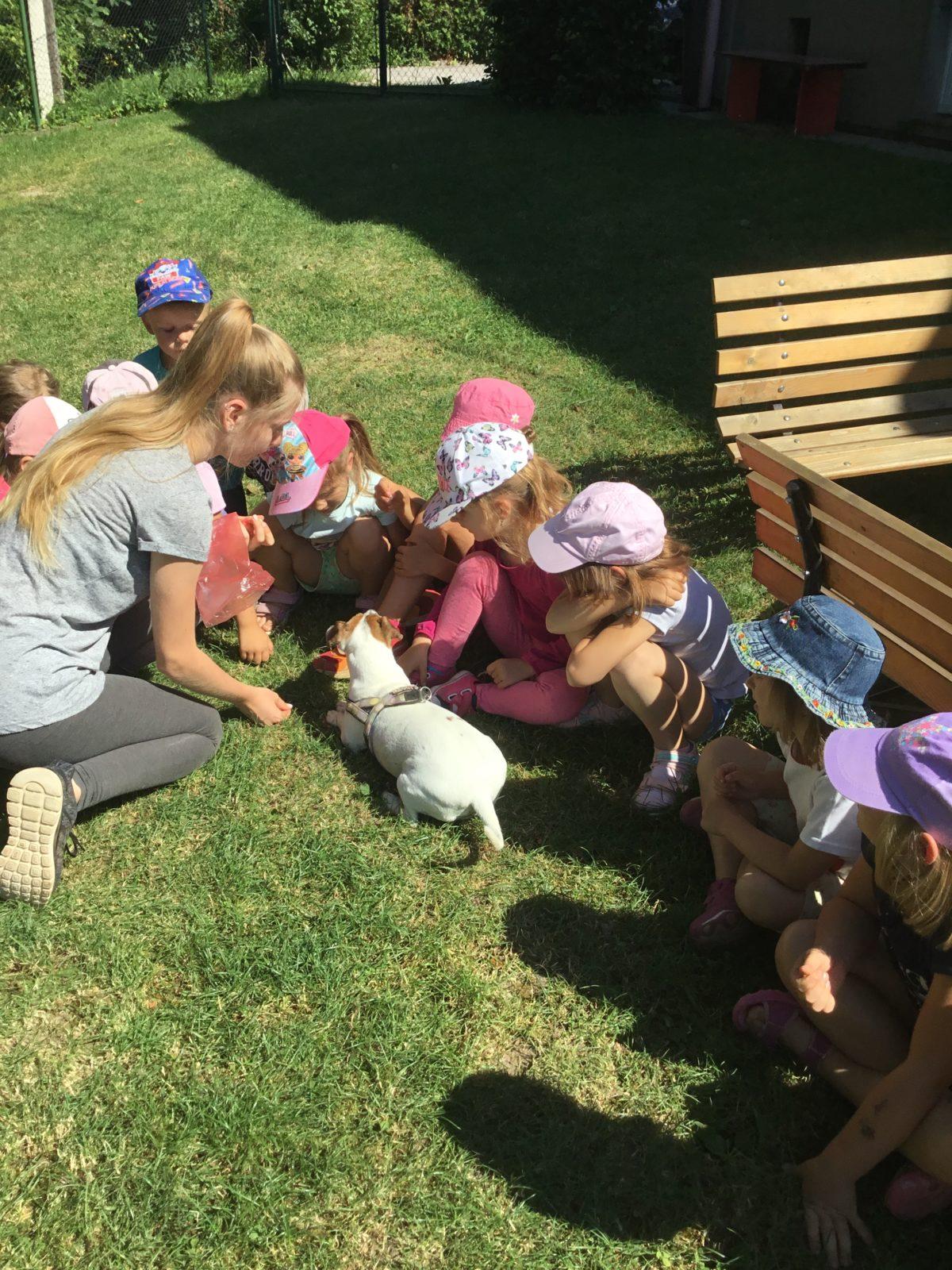 Vzpomínka na prázdniny - cvičení s pejskem - 11