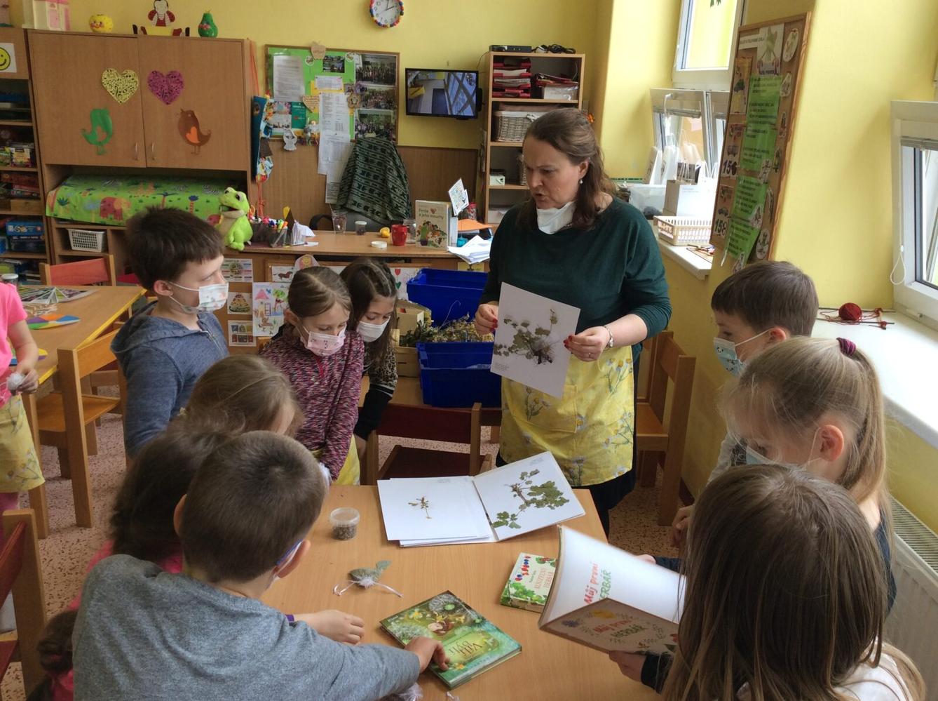 Čarovné bylinky ve družince - 11