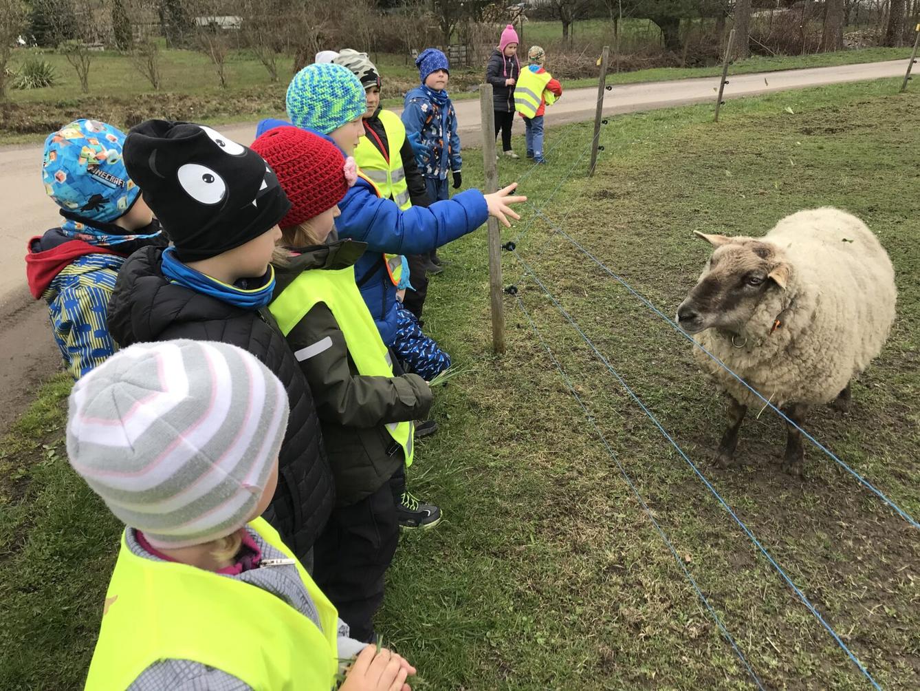 PŘEDŠKOLÁCI ,,VÝPRAVY ZA ZVÍŘÁTKY" - 16