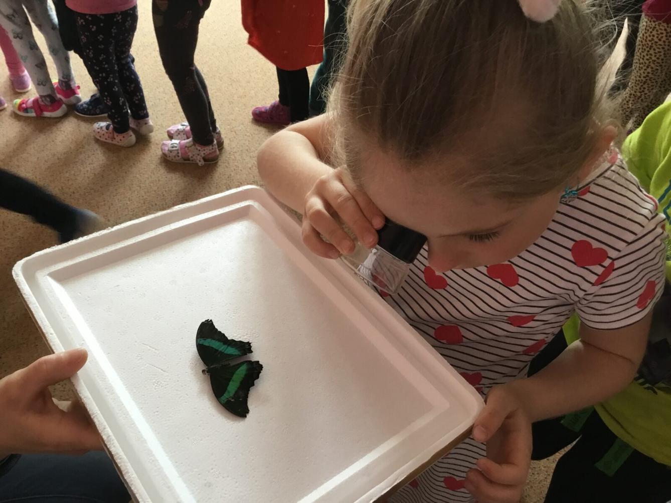 PROJEKTOVÝ DEN: ,,MOTÝLCI" - 18